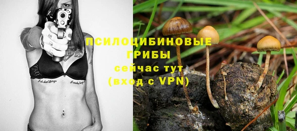 гашик Балабаново