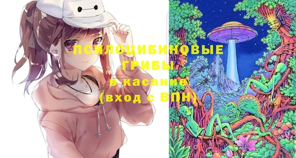 гашик Балабаново