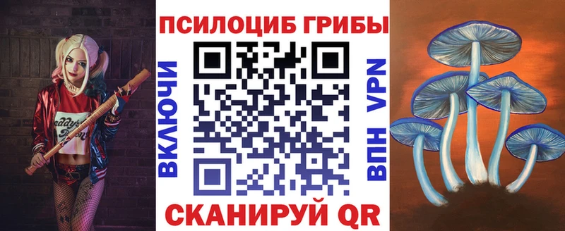 Галлюциногенные грибы мицелий где продают Соль-Илецк